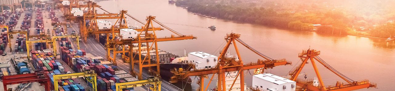 Mekatron İş ve İstif Makineleri